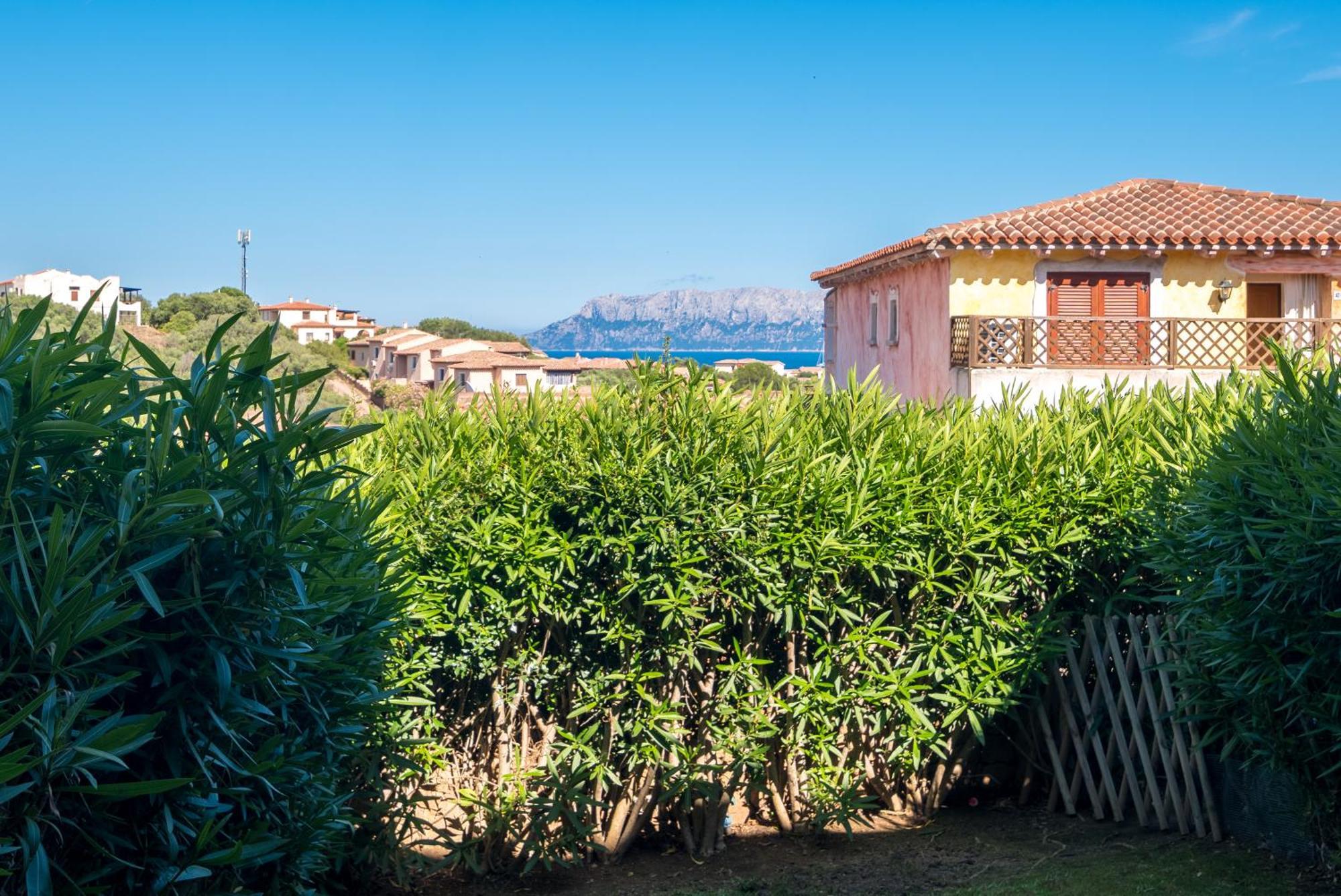 Apartment Belvedere 18 - 3 Shared Pool Olbia